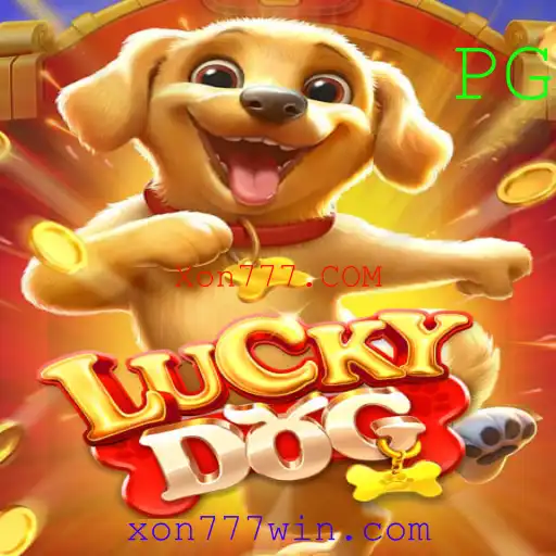 Descubra o Mundo do Jogo LuckyDog - Xon777.COM